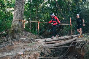 BIB: 
                            <button type="button" onclick="openModal(27306785)" class="btn btn-primary btn-sm float-right btn-popup" data-toggle="modal" data-target=".modal-high-quality">
                        <i class="fas fa-shopping-cart"></i> Add to Cart
                    </button>
                                            <button type="button" onclick="isThisMe(27306785, true)" class="btn btn-success btn-sm float-right btn-popup btn-isme hidden" data-toggle="tooltip" data-placement="bottom" title="นี่คือรูปของคุณใช่ไหม คลิกที่นี่เพื่อเอาเข้าอัลบั้ม">
                        <i class="fas fa-plus"></i> Add to album
                    </button>
                    <button type="button" onclick="isThisMe(27306785, false)" class="btn btn-warning btn-sm float-right btn-popup btn-isnotme hidden">
                        <i class="fas fa-ban"></i> Remove from album
                    </button>